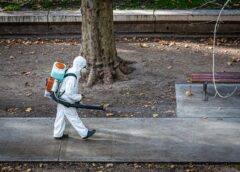 Jak skutecznie pozbyć się szkodników z domu?