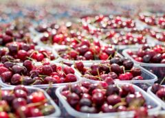 Nowoczesne podejście do produkcji opakowań w Poznaniu