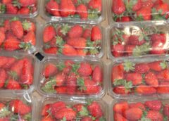 Efektywność i innowacje w branży opakowań w stolicy Wielkopolski