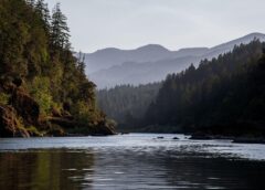 Dynamiczna forma rekreacji w naturalnym otoczeniu