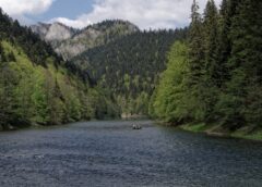 Spływ kajakowy – rozrywka dla całej rodziny