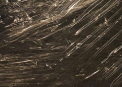 Folia, rękaw do pieczenia, pergamin. Co wybrać?