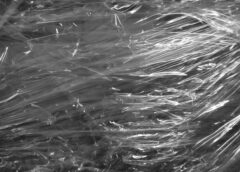 Rozwój technologii w produkcji nowoczesnych opakowań