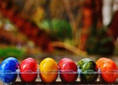 Trendy i innowacje w branży pakowania w Wielkopolsce