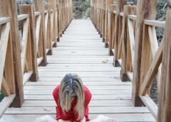 Wyzwania i wsparcie w obszarze zaburzeń rozwojowych u dzieci