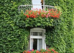 Nowoczesne techniki uprawy roślin w małych przestrzeniach