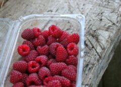 Innowacje w branży opakowań