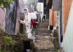 Skuteczne metody eliminacji szkodników w budynkach