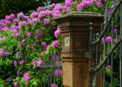 Tworzenie idealnych przestrzeni na świeżym powietrzu