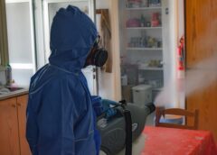 Skuteczne metody eliminacji szkodników w domu