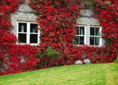 Zielona przestrzeń w nowym wymiarze