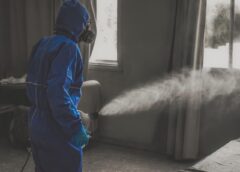 Skuteczne metody ochrony mieszkania przed szkodnikami